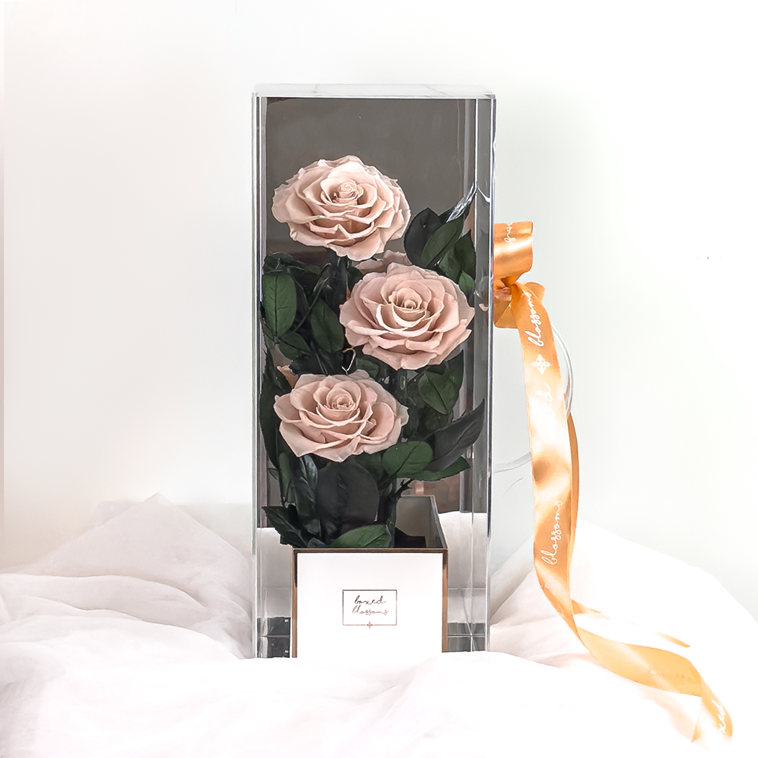 Je T'aime Mirror Box