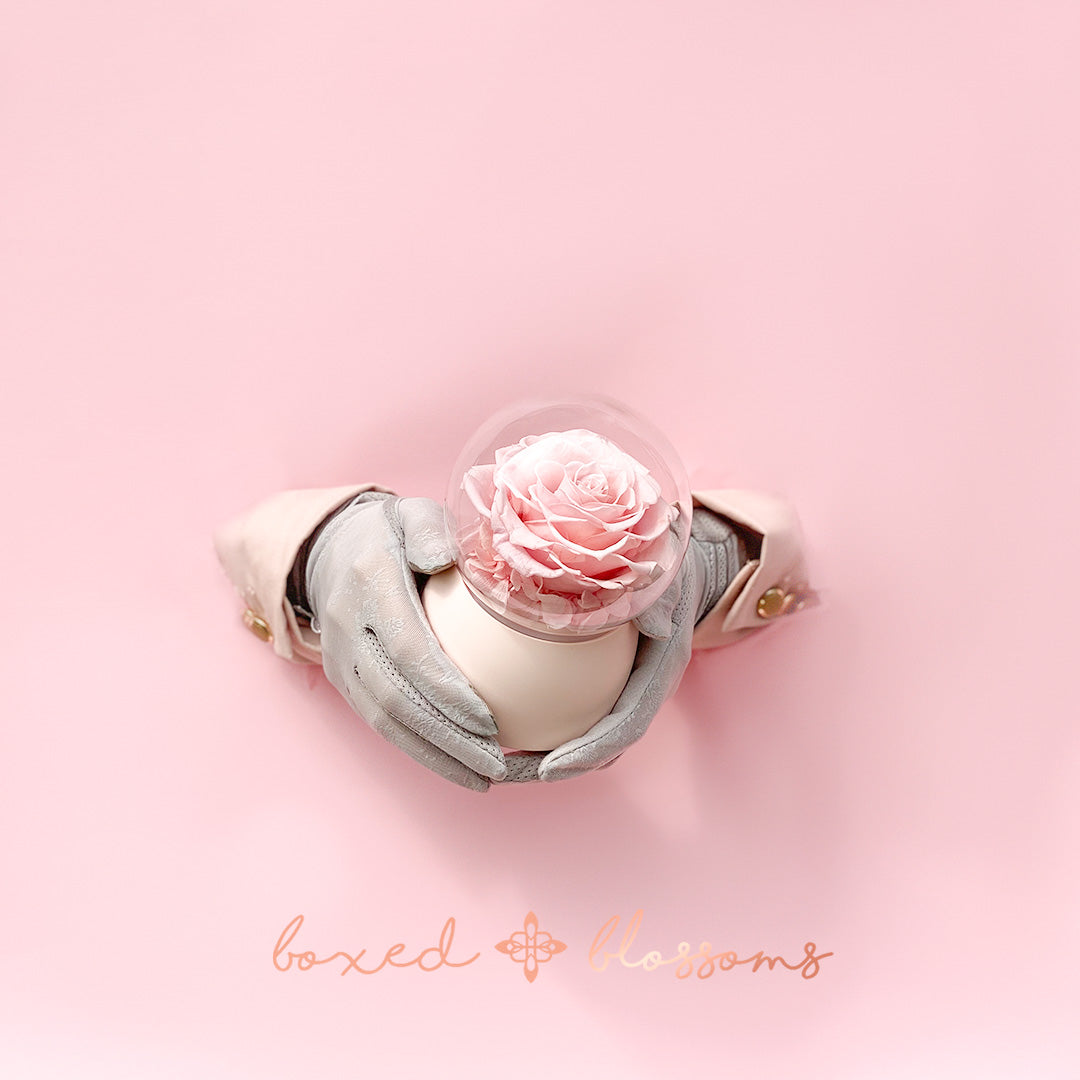 Blossoms Musical Bubble