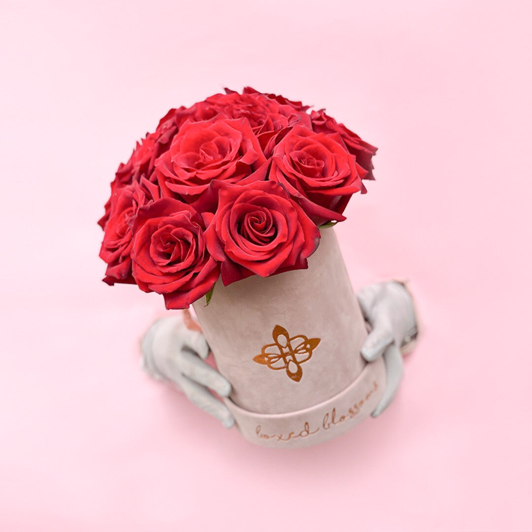Velour Fresh Roses