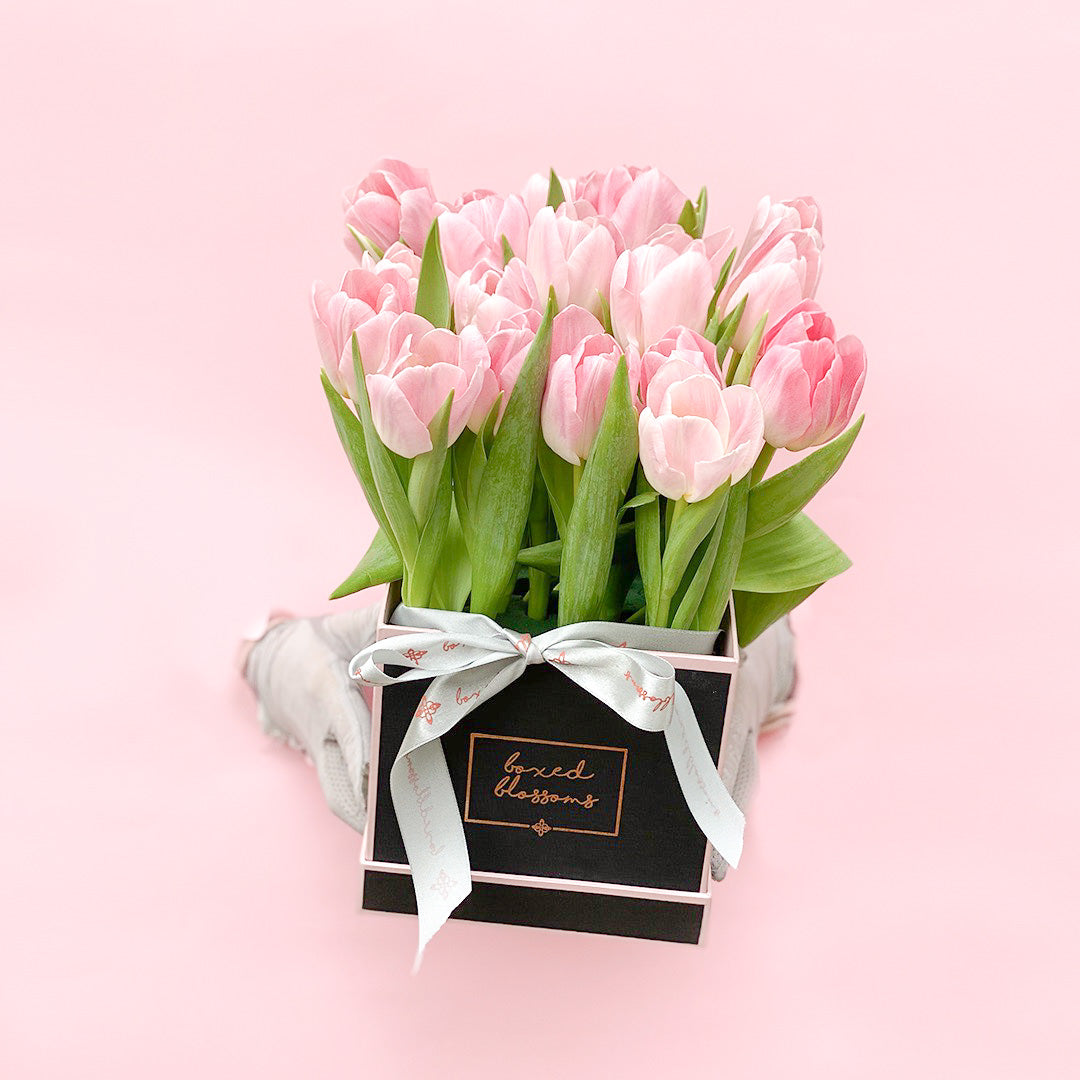 Avia Fresh Tulips